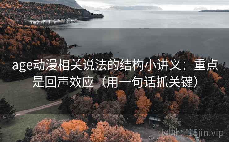 age动漫相关说法的结构小讲义：重点是回声效应（用一句话抓关键）